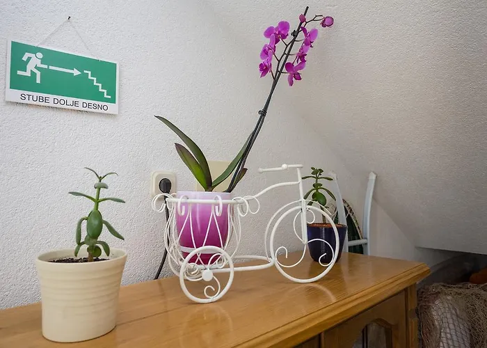 Appartement In *
